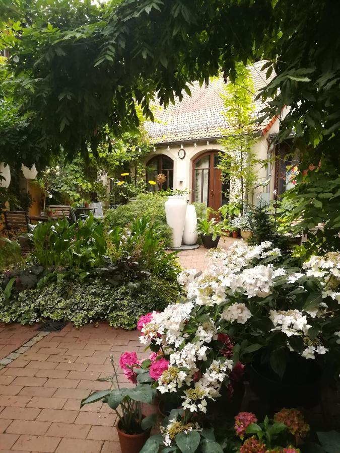Faehrhaus Meissen B&B Exterior photo