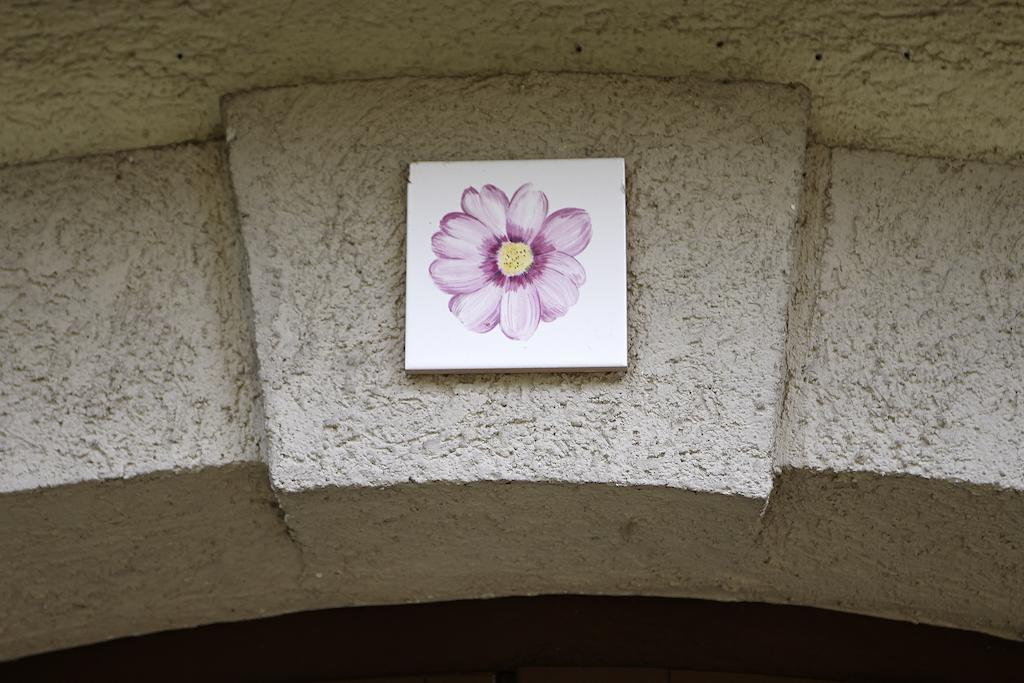 Faehrhaus Meissen B&B Room photo
